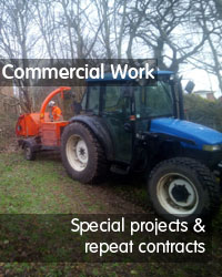 commercial tree surgery exeter