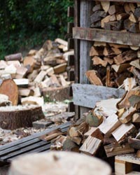 logs and woodchip