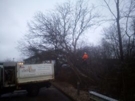 Emergency storm damaged tree dismantle